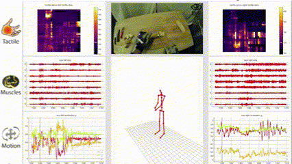 Multimodal datasets on human activities